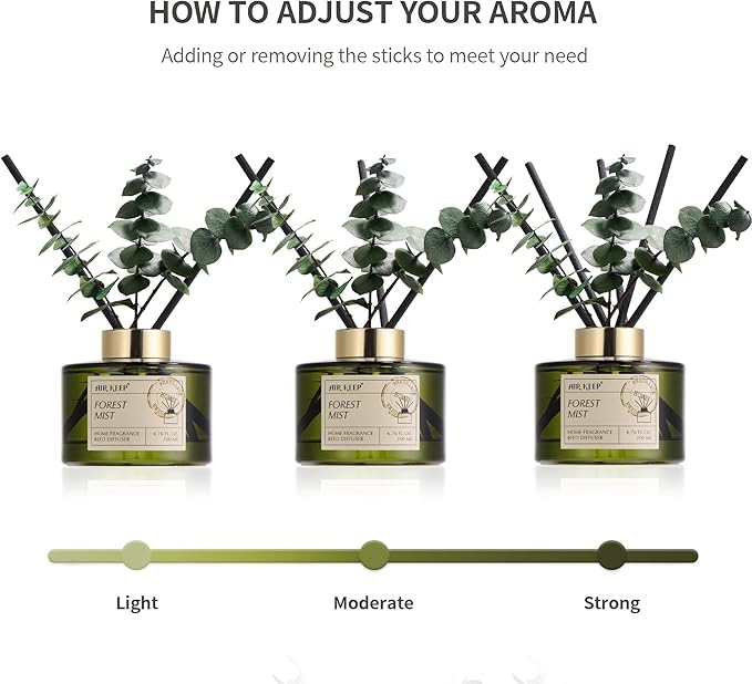 Airkeep Reed Diffuser Set with 6.76 fl oz Forest Mist Scent Essential Oils and 3 Leaves & 8 Diffuser Sticks,Bathroom Shelf Decor & Air Freshener, House Bedroom Office Decor & Gifts