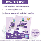 Lucent Globe Laundry Detergent Sheets. Pre-Measured Laundry Sheets. Powerful Stain Removal. Works in All Clothes Washers. World's Best Smelling Laundry Detergent. (1 Pack - 80 Washes, Lavender)