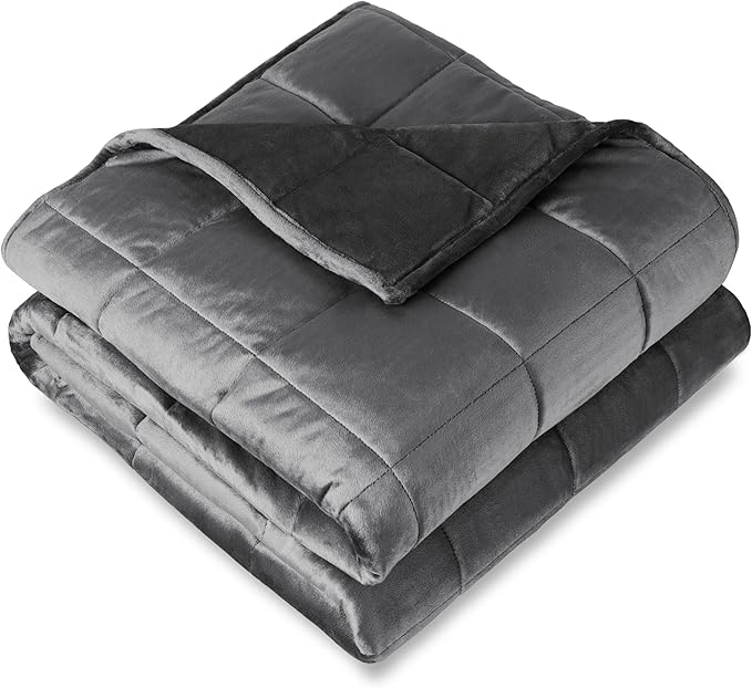 Bare Home Weighted Blanket Twin or Full Size 10lb (40" x 60") - Minky Fleece - Premium Heavy Blanket Nontoxic Glass Beads (Grey, 40"x60")