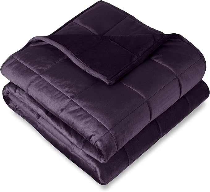 Bare Home Weighted Blanket Twin or Full Size 10lb (40" x 60") - Minky Fleece - Premium Heavy Blanket Nontoxic Glass Beads (Eggplant, 40"x60")
