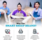 Smart Sheep 3-Pack - XL Premium Natural Wool Dryer Balls - Award-Winning - Replaces Dryer Sheets - Laundry Balls (Black Marching Penguins)