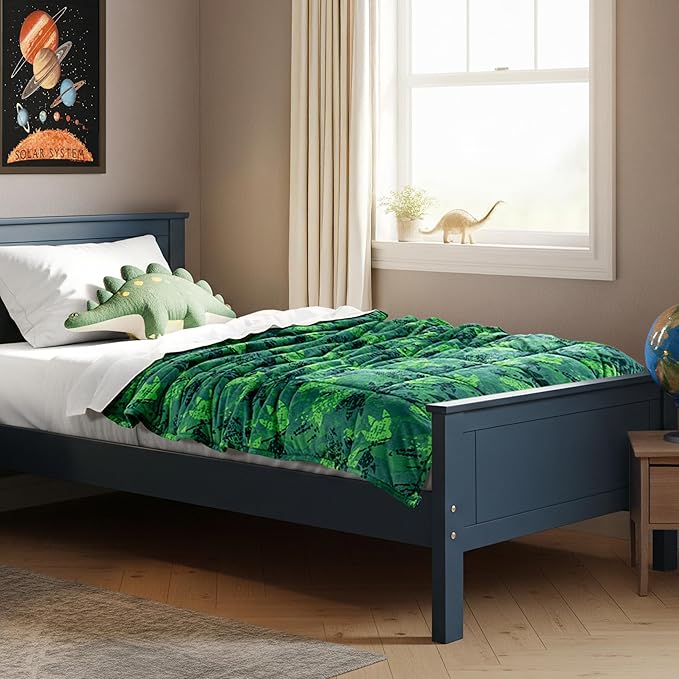 Bare Home Weighted Blanket Twin or Full Size 7lb (40" x 60") - Minky Fleece - Premium Heavy Blanket Nontoxic Glass Beads (Dinosaur, 40"x60")